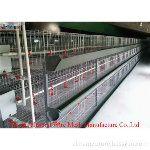 automatic equipment for broiler